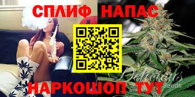 прущие крисы Нарткала